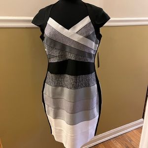 Venus Bodycon Dress XL